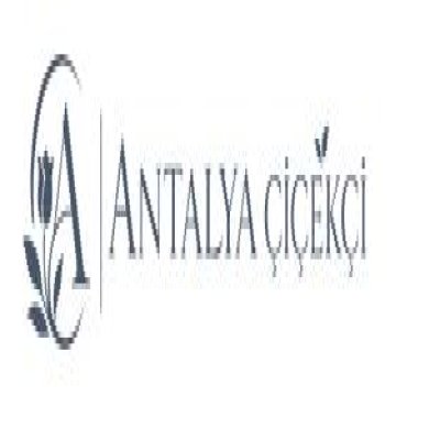 Antalya Çiçekçi